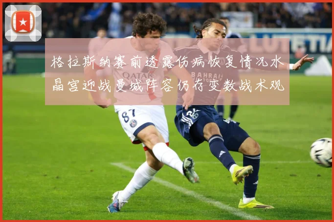 格拉斯纳赛前透露伤病恢复情况水晶宫迎战曼城阵容仍存变数战术观察：最新赛事动态与深度分析